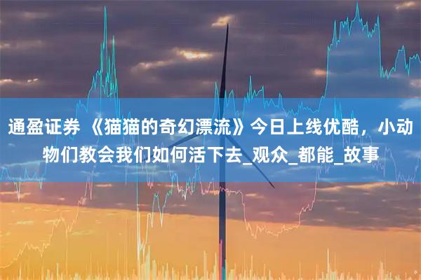 通盈证券 《猫猫的奇幻漂流》今日上线优酷，小动物们教会我们如何活下去_观众_都能_故事