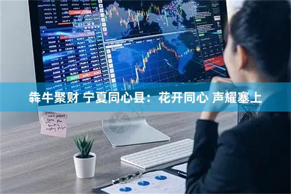 犇牛聚财 宁夏同心县：花开同心 声耀塞上