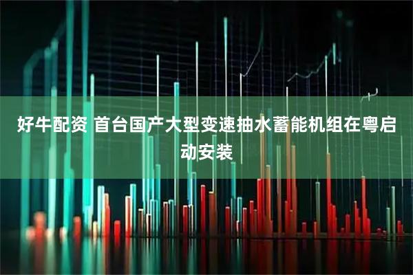 好牛配资 首台国产大型变速抽水蓄能机组在粤启动安装
