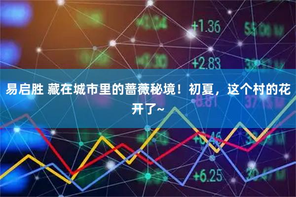 易启胜 藏在城市里的蔷薇秘境！初夏，这个村的花开了~