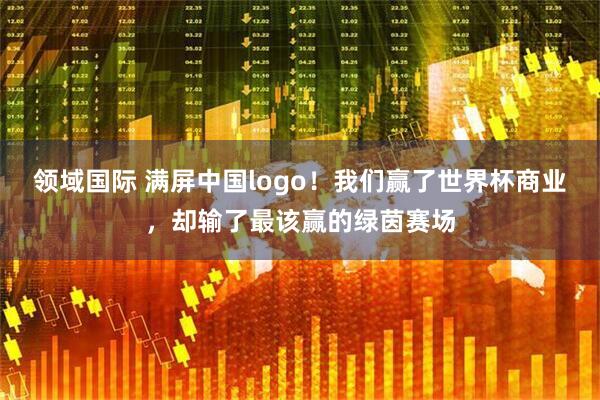领域国际 满屏中国logo！我们赢了世界杯商业，却输了最该赢的绿茵赛场